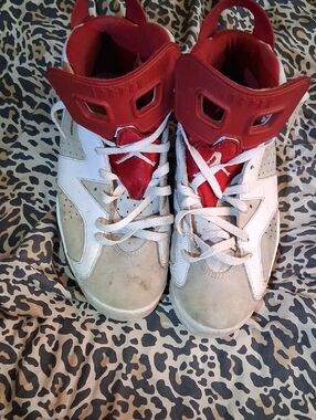 Jordan 6 Mens